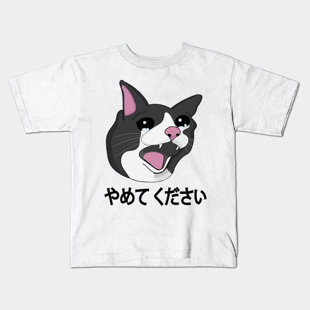 Yamete Kudasai Meme Crying Cat Yamero Japanese Words - Cat Memes - Kids ...